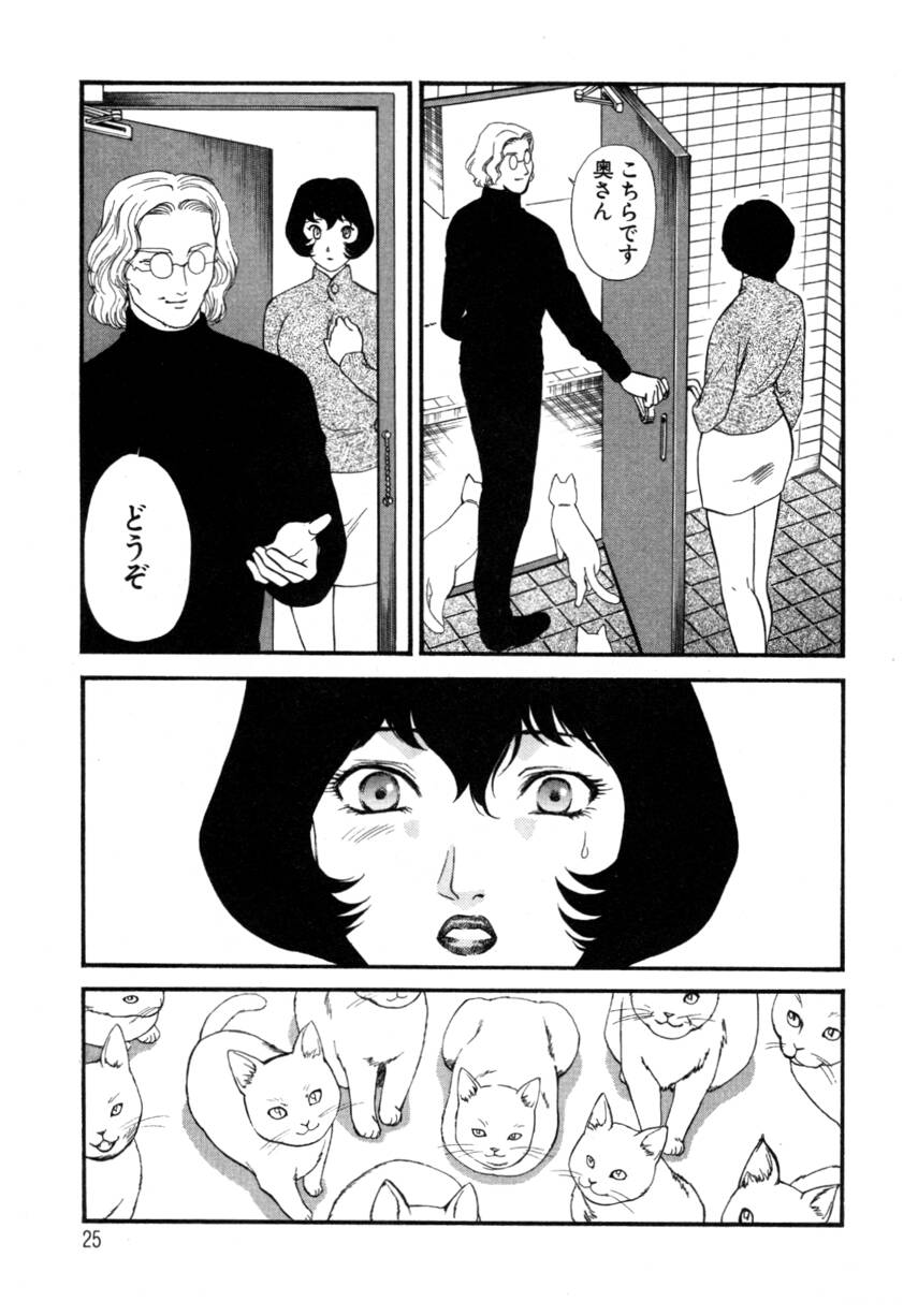 [Fujii Akiko, Akiyama Michio] Hitozuma Moyou 4 Yogarizuma - Page 25