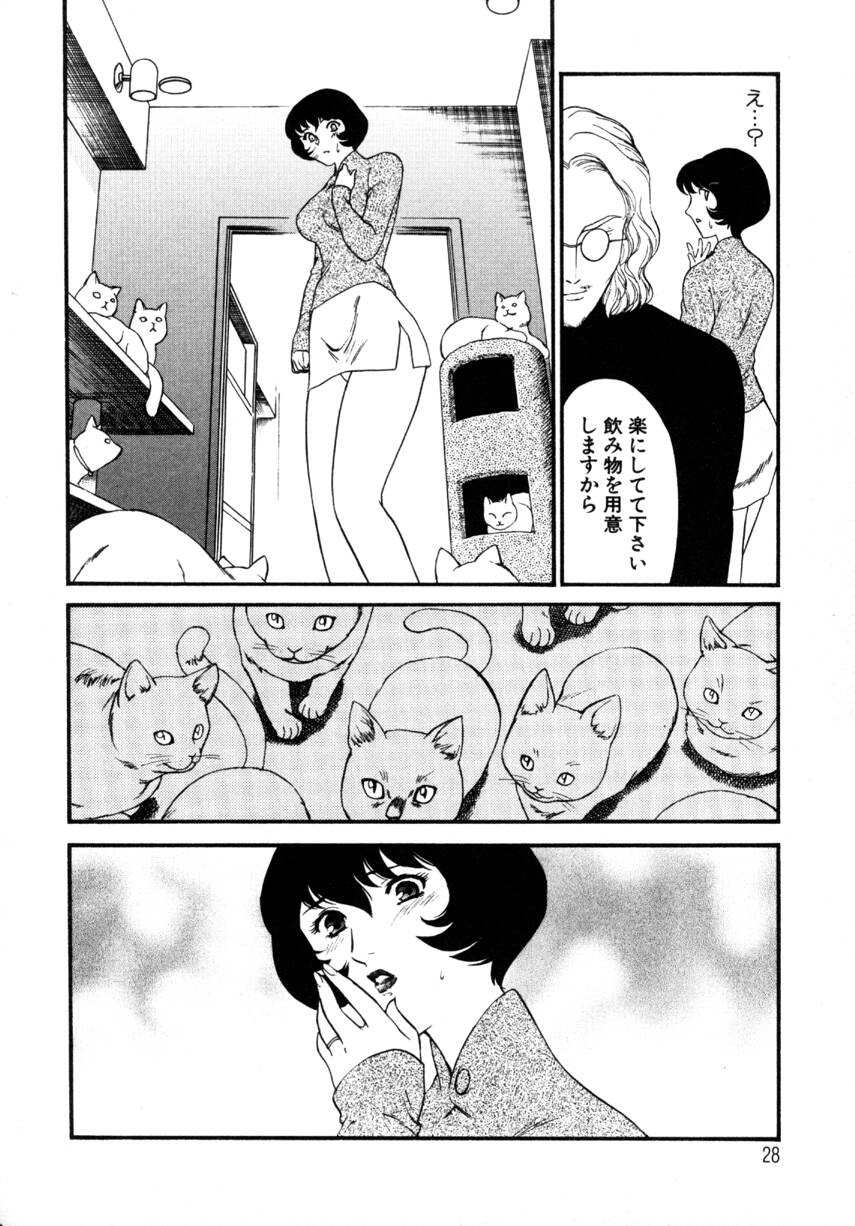 [Fujii Akiko, Akiyama Michio] Hitozuma Moyou 4 Yogarizuma - Page 28