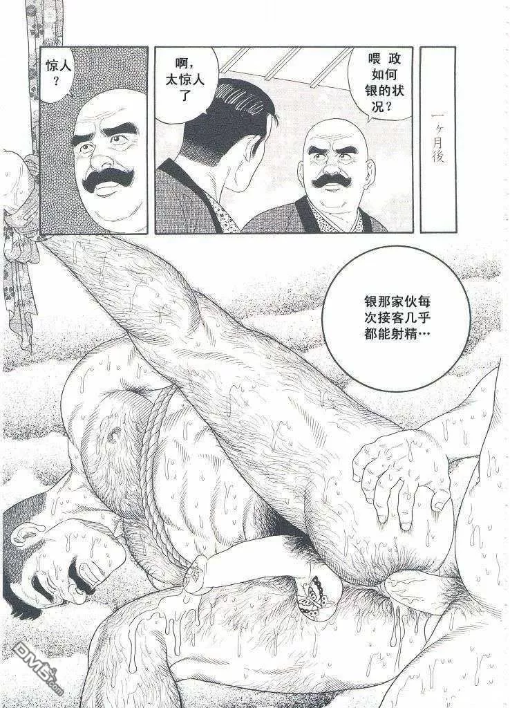 [Gengoroh Tagame][田龟源五郎] Shirogane-no-Hana The Silver Flower vol.3[银之华] [Chinese] - Page 12