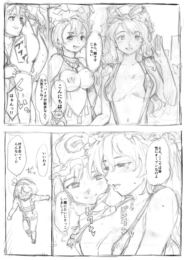 [PARANOIA CAT (Fujiwara Shunichi)] Hakugyokurou-gumi Iromachi o Yuku (Touhou Project) - Page 3