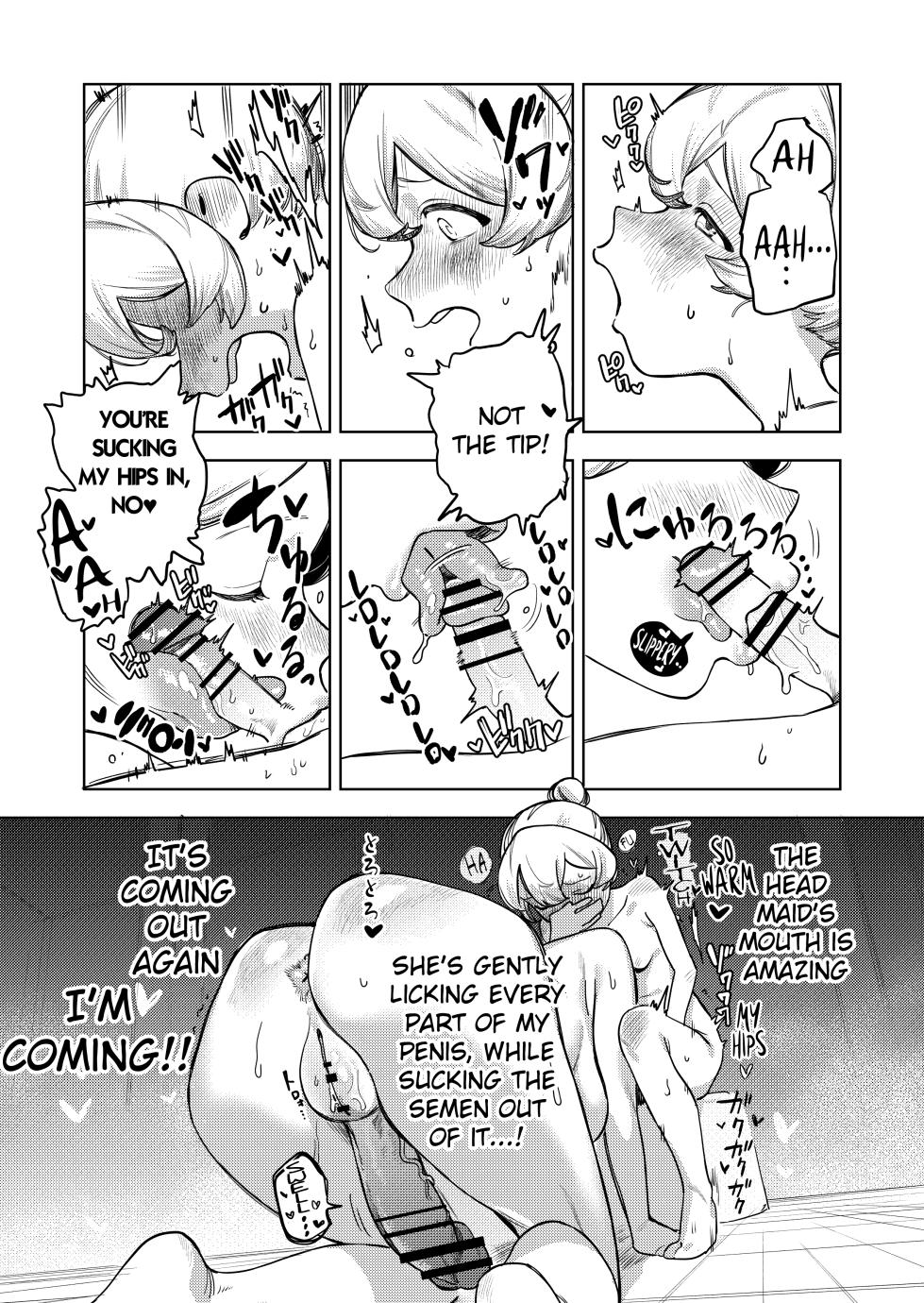 [Ekogi] Chotto Ecchi na Maid no Hibi ~Sei no Mezame~ [English] - Page 26