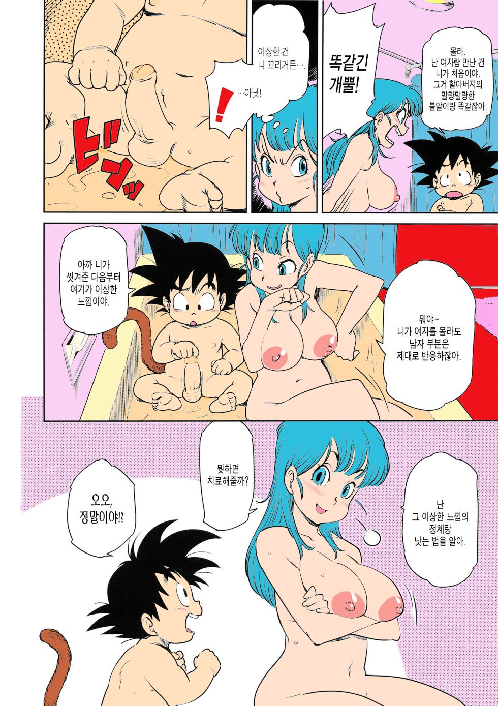 (C89) [Finecraft69 (6ro-)] Eromangirl (Dragon Ball) [Korean] [Colorized] [Decensored] - Page 5