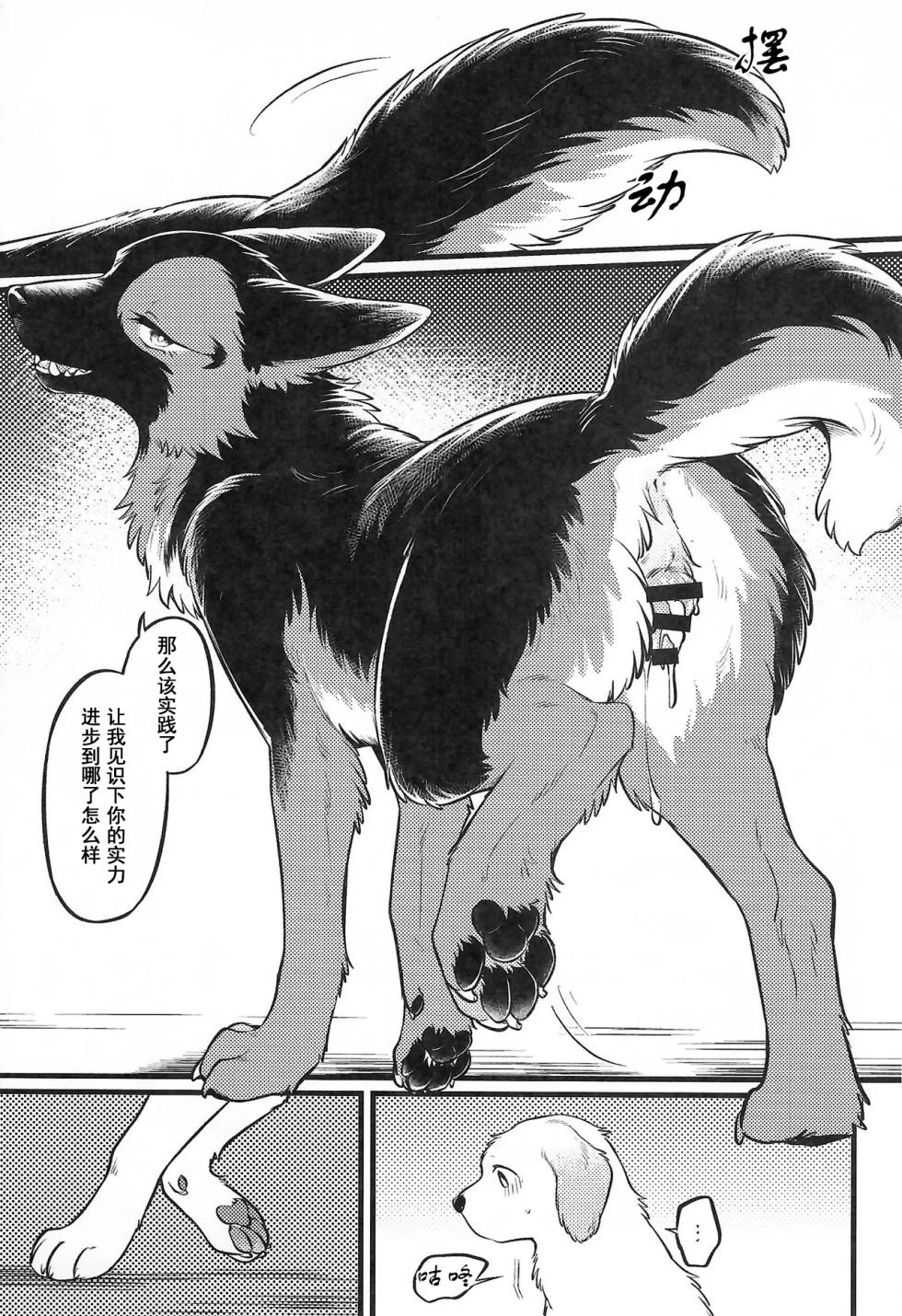 (Kemoket 16) [Kaiten ParaDOGs (Minaga Tsukune)] Midnight Gokuhi Kunren | 午夜时下极密训练 [Chinese]  [Skaarsgard个人汉化] - Page 16