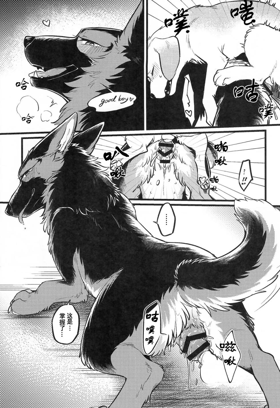 (Kemoket 16) [Kaiten ParaDOGs (Minaga Tsukune)] Midnight Gokuhi Kunren | 午夜时下极密训练 [Chinese]  [Skaarsgard个人汉化] - Page 20