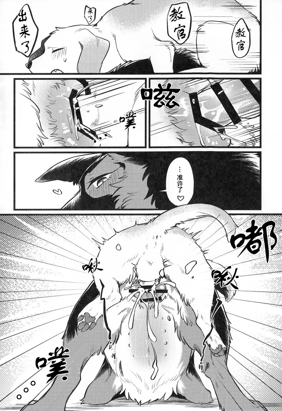(Kemoket 16) [Kaiten ParaDOGs (Minaga Tsukune)] Midnight Gokuhi Kunren | 午夜时下极密训练 [Chinese]  [Skaarsgard个人汉化] - Page 21