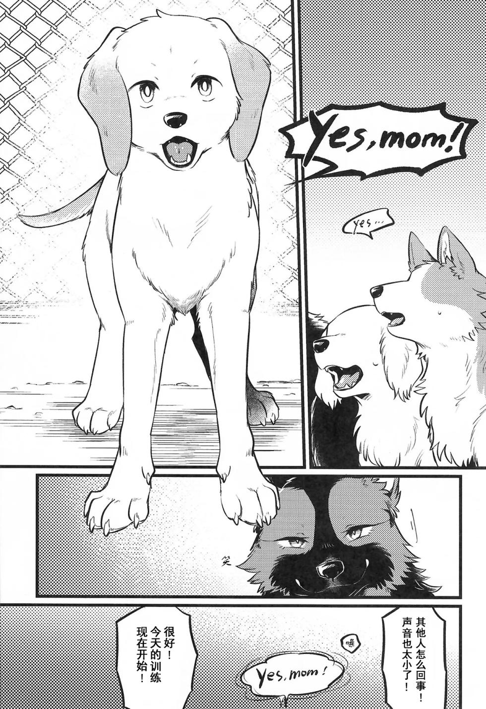 (Kemoket 16) [Kaiten ParaDOGs (Minaga Tsukune)] Midnight Gokuhi Kunren | 午夜时下极密训练 [Chinese]  [Skaarsgard个人汉化] - Page 24