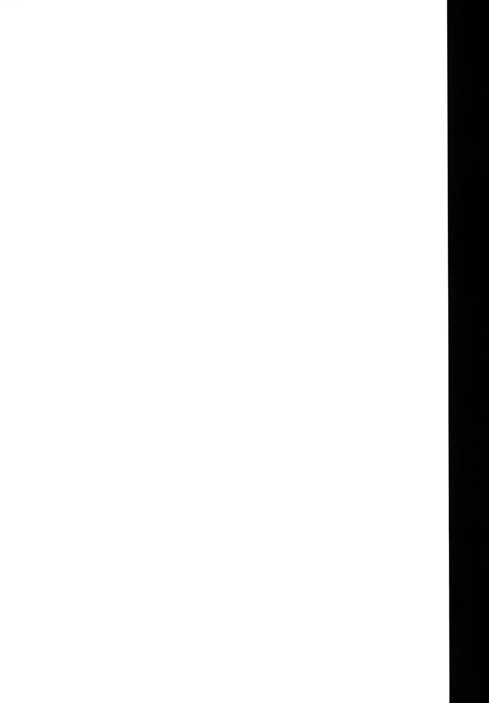 (C77) [Heaven's Gate (Andou Tomoya)] Present (K-ON!) [Textless] - Page 25