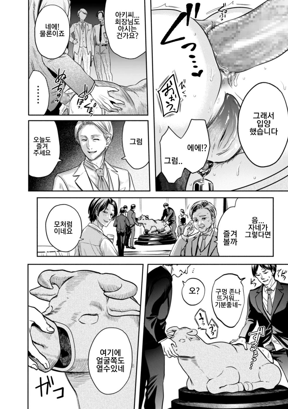 [Hasebe Souutsu] Settai Tsuma Jukusei Ch. 6 Fararisu no meushihen | 접대아내 숙성 6화 팔라리스의 암소편 (COMIC Kuriberon DUMA 2025-10 Vol.77) [Korean] - Page 8