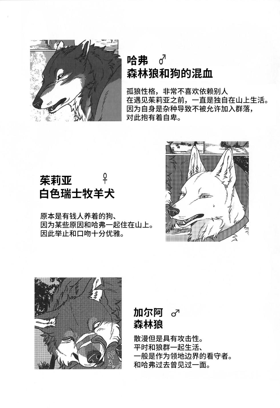 (Kansai Kemoket 10) [Neko no Shuukaijo (Nekomata)] 永恒的至爱 | ETERNAL FIRST [海豚之涌众筹汉化] - Page 2