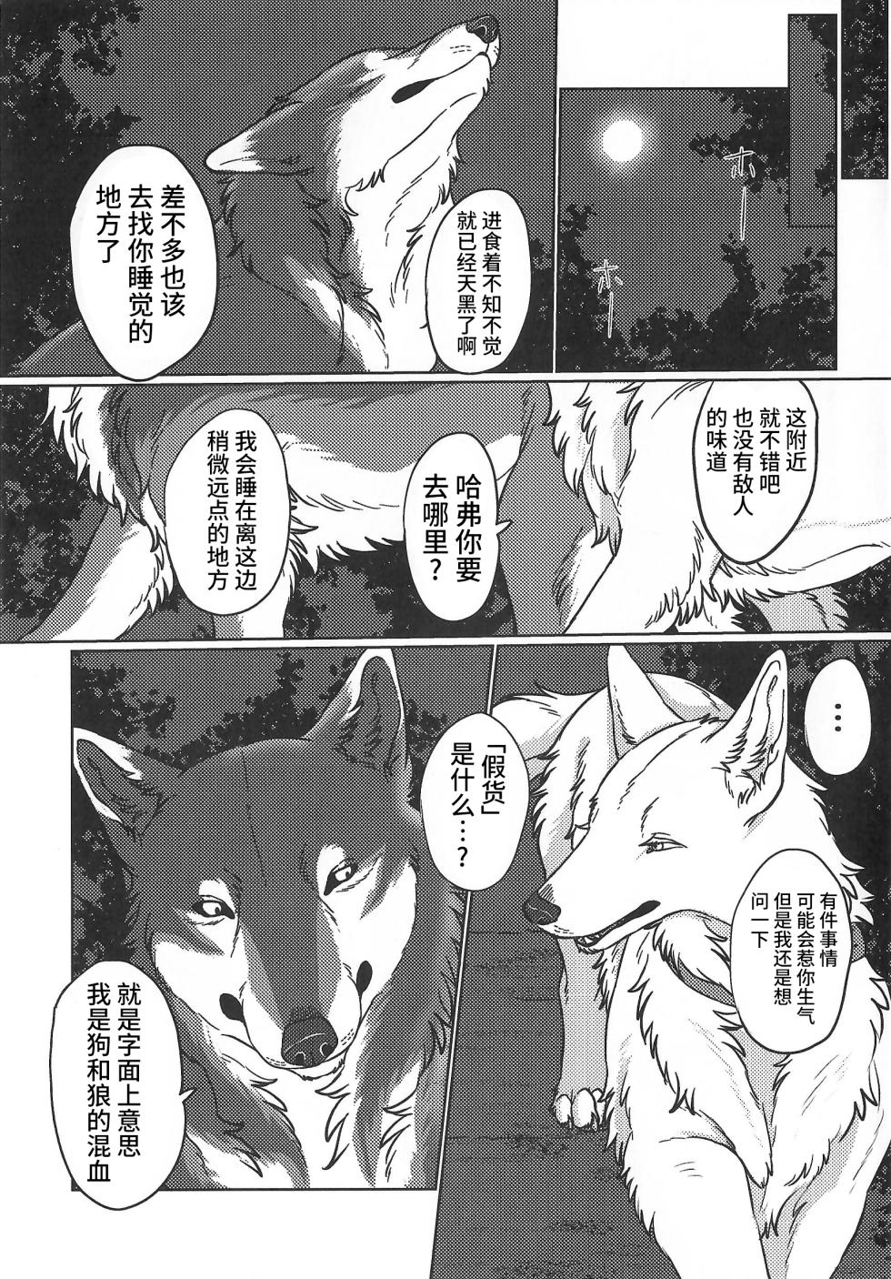 (Kansai Kemoket 10) [Neko no Shuukaijo (Nekomata)] 永恒的至爱 | ETERNAL FIRST [海豚之涌众筹汉化] - Page 12