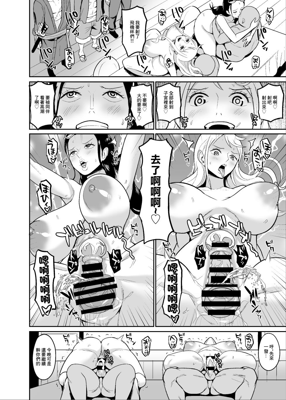 [REM9 (Hamiltan)] Koitsura ga Oretachi no Atarashii Nakama da! | 這兩位以後就是我們的新伙伴了！ (One Piece) [Chinese] [Digital] - Page 12