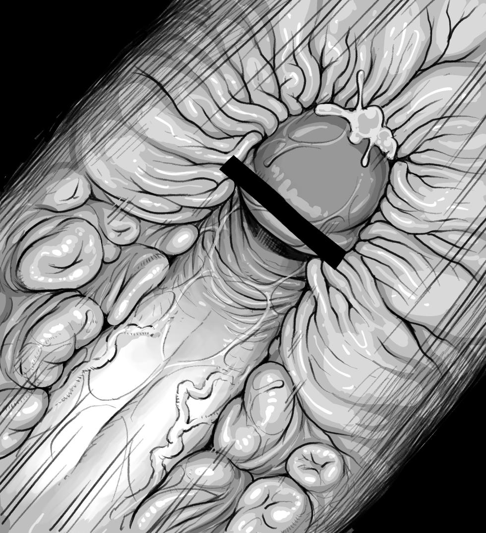 [Double Deck] Shibo sei shokubutsu no mori - Page 6