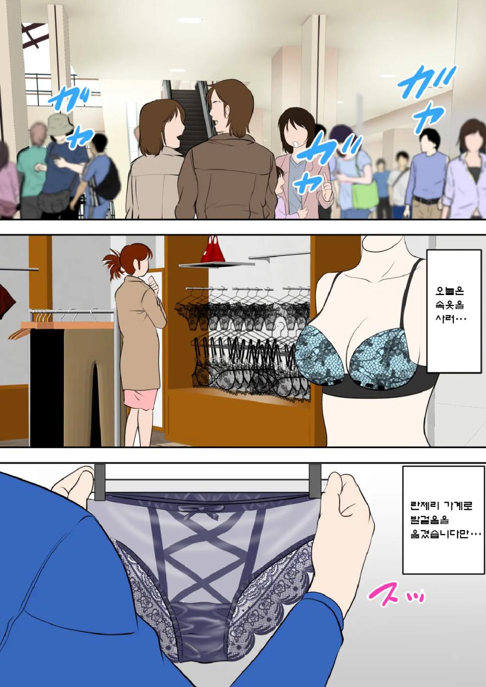 [Fuwatoro Opanchu Cake] 30-nichi go ni SEX suru Haha to Musuko 〜THE FINAL〜 - Page 3