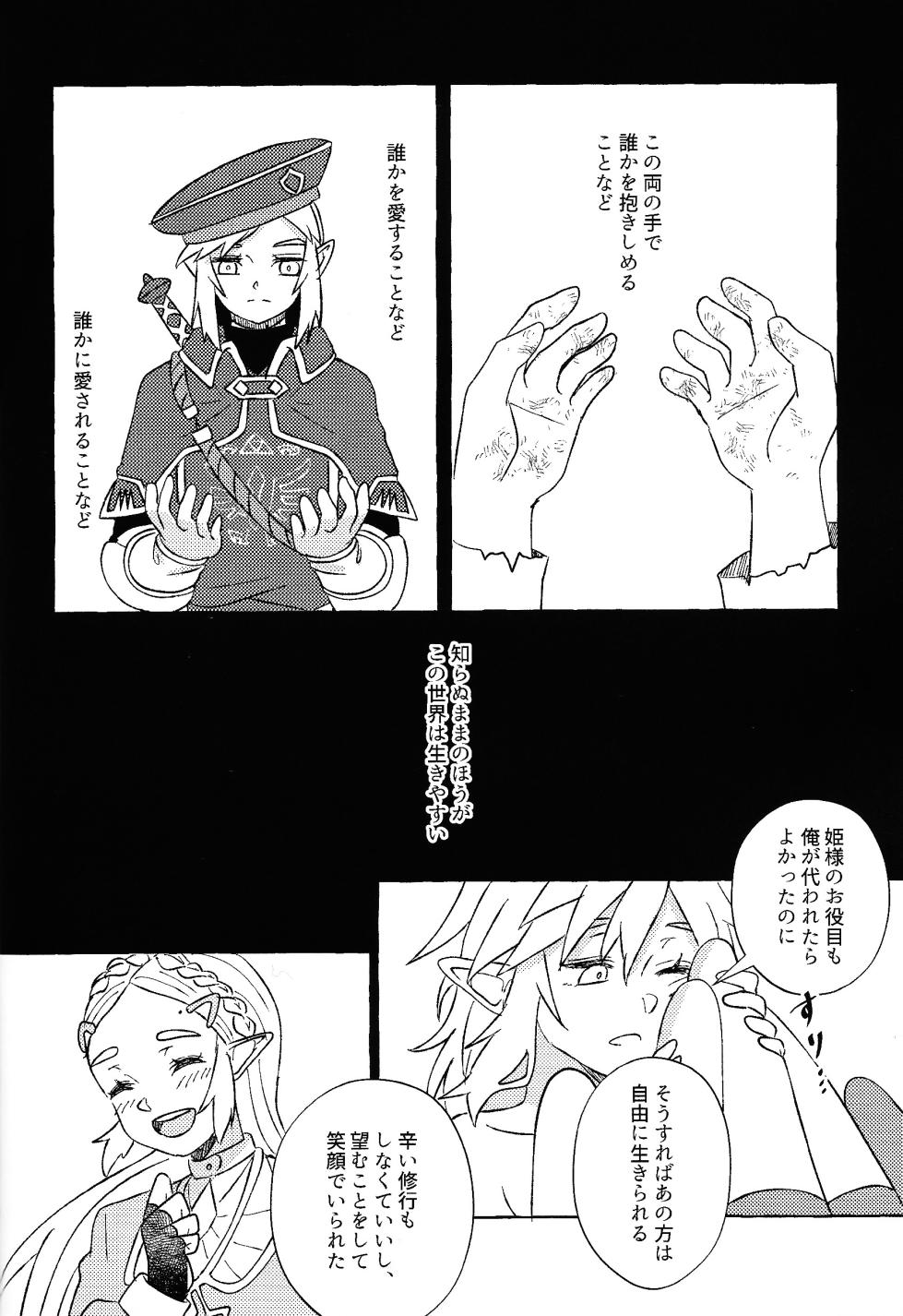 [Mamonosaida (Ten)] Aru ai no hanashi (Legend of Zelda) - Page 7