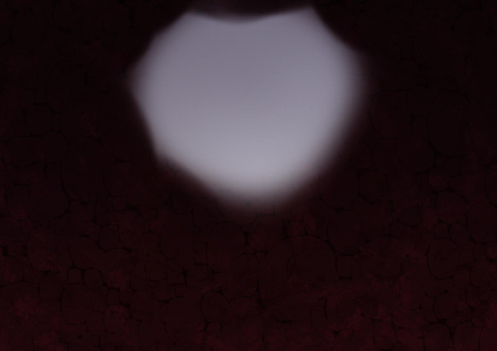 [福玉 死瘟(しおん)] リハビリ絵 ルウィー三姉妹 (Normal Version) - Page 39