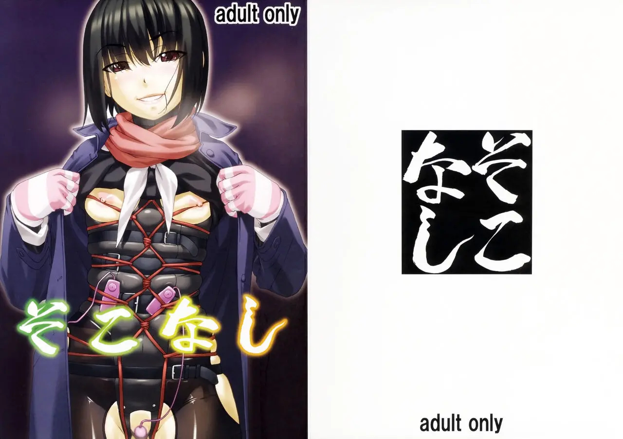 (C91) [Tairikukan Dandoudan Dan (Sakura Romako)] Sokonashi | 바닥 없음 [Korean] - Page 24