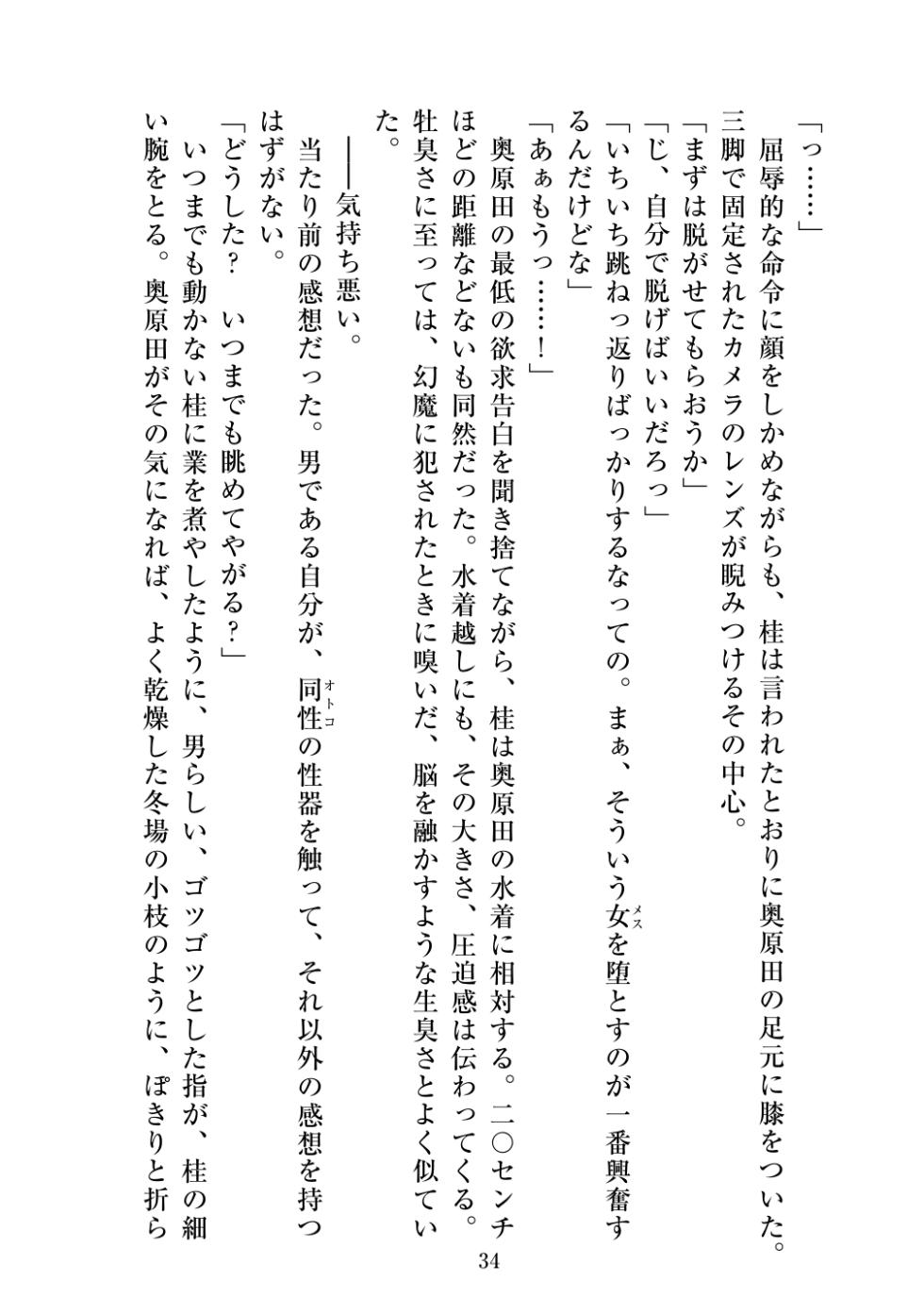 [Niwakakamikiriyamodoki (ADU, Satou Kuuki)] Holy Crystal Esphére ~Peridot no Shou II~protogyny~ [Digital] - Page 34