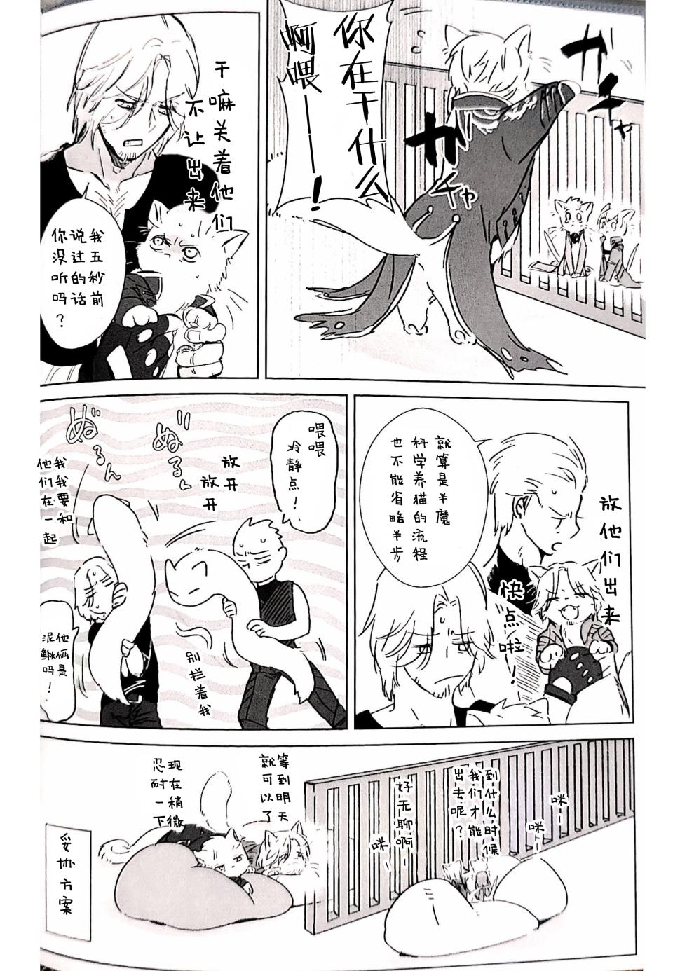 [灸と生ハム(宗六)]双子猫再録 [Dante x Vergil](Devil May Cry) [Chinese] - Page 13