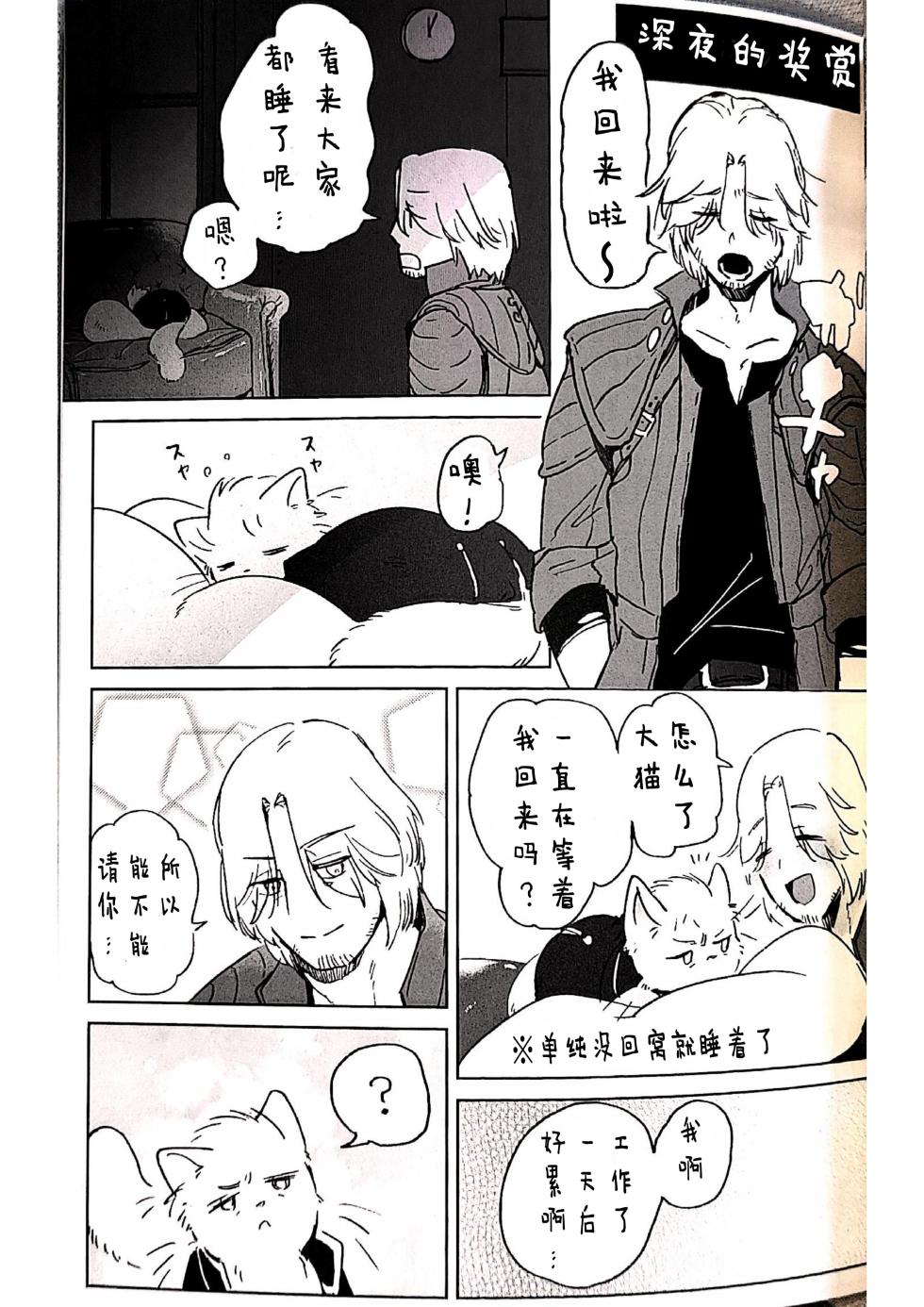[灸と生ハム(宗六)]双子猫再録 [Dante x Vergil](Devil May Cry) [Chinese] - Page 18