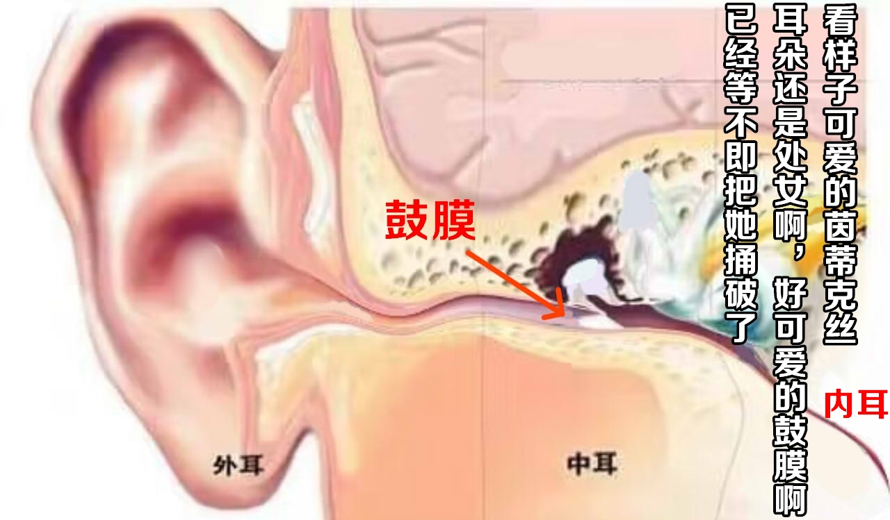 茵蒂克丝的无尽凌辱第11话：强奸耳朵&听觉改造&幻听&信念的破坏(Toaru Majutsu no Index) [Chinese] - Page 13