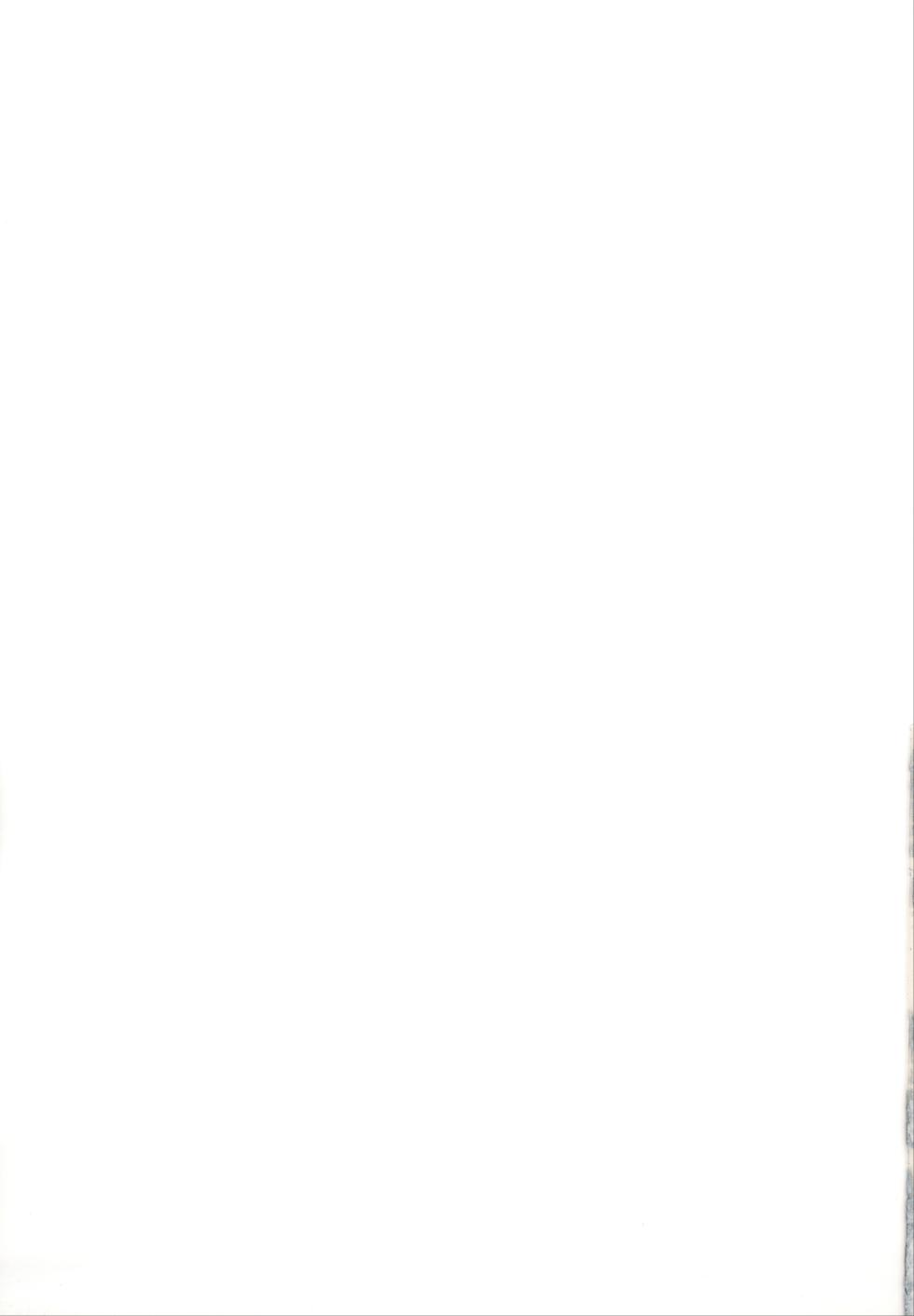 (C101) [Avalanche EX (Abarai)] Mami-san dake Haete nai Series (Puella Magi Madoka Magica) [Chinese] - Page 28