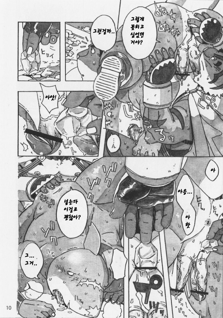 (C81) [Dragon Heart (gamma)] Choujuu Gasshin Build Tiger 9 | 초수합신 빌드 타이거 9 [Korean] - Page 11