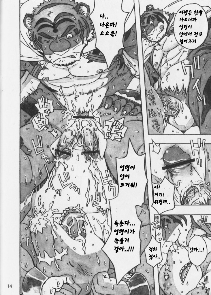 (C81) [Dragon Heart (gamma)] Choujuu Gasshin Build Tiger 9 | 초수합신 빌드 타이거 9 [Korean] - Page 15