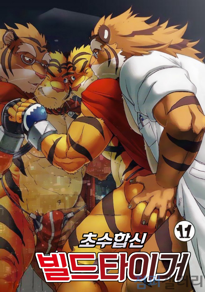 (C86) [Dragon Heart (gamma)] Choujuu Gasshin Build Tiger 11 | 초수합신 빌드 타이거 11 [Korean] - Page 1