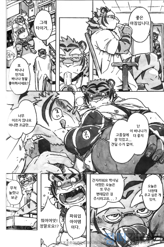 (C86) [Dragon Heart (gamma)] Choujuu Gasshin Build Tiger 11 | 초수합신 빌드 타이거 11 [Korean] - Page 8