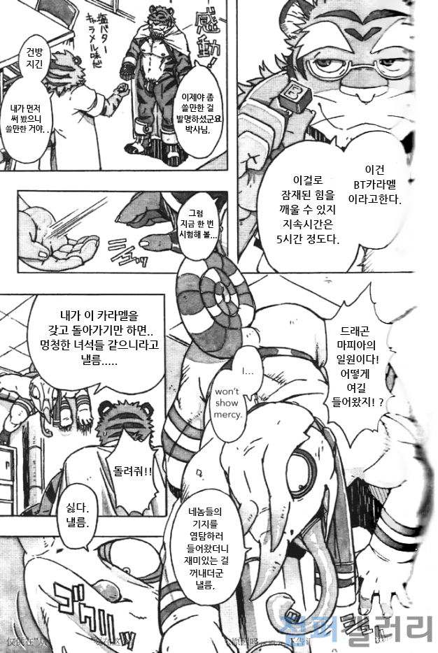 (C86) [Dragon Heart (gamma)] Choujuu Gasshin Build Tiger 11 | 초수합신 빌드 타이거 11 [Korean] - Page 9
