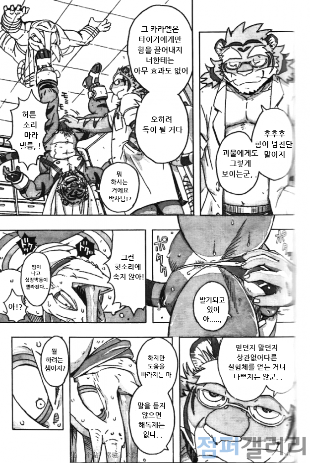 (C86) [Dragon Heart (gamma)] Choujuu Gasshin Build Tiger 11 | 초수합신 빌드 타이거 11 [Korean] - Page 11