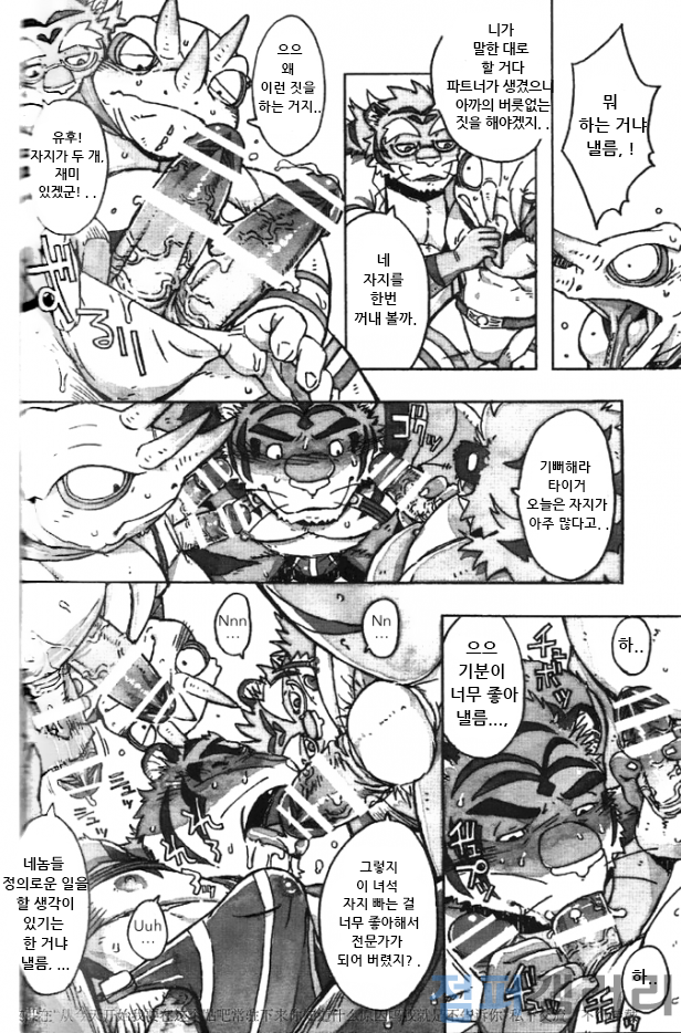 (C86) [Dragon Heart (gamma)] Choujuu Gasshin Build Tiger 11 | 초수합신 빌드 타이거 11 [Korean] - Page 12