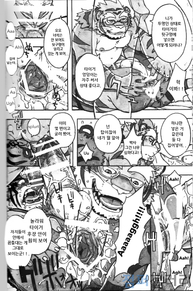 (C86) [Dragon Heart (gamma)] Choujuu Gasshin Build Tiger 11 | 초수합신 빌드 타이거 11 [Korean] - Page 16