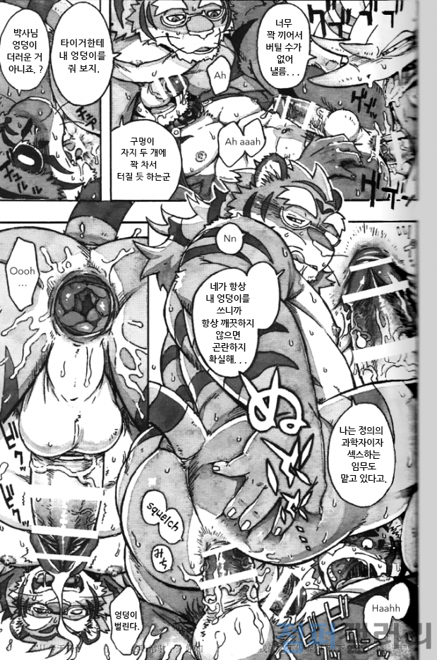 (C86) [Dragon Heart (gamma)] Choujuu Gasshin Build Tiger 11 | 초수합신 빌드 타이거 11 [Korean] - Page 17