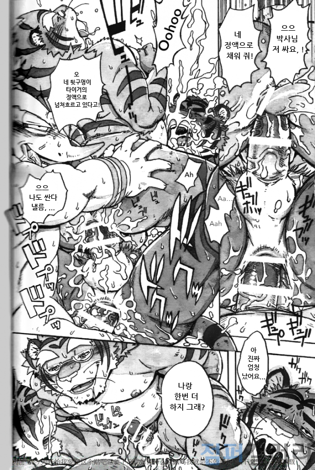 (C86) [Dragon Heart (gamma)] Choujuu Gasshin Build Tiger 11 | 초수합신 빌드 타이거 11 [Korean] - Page 20