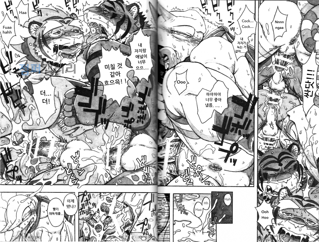 (C86) [Dragon Heart (gamma)] Choujuu Gasshin Build Tiger 11 | 초수합신 빌드 타이거 11 [Korean] - Page 22