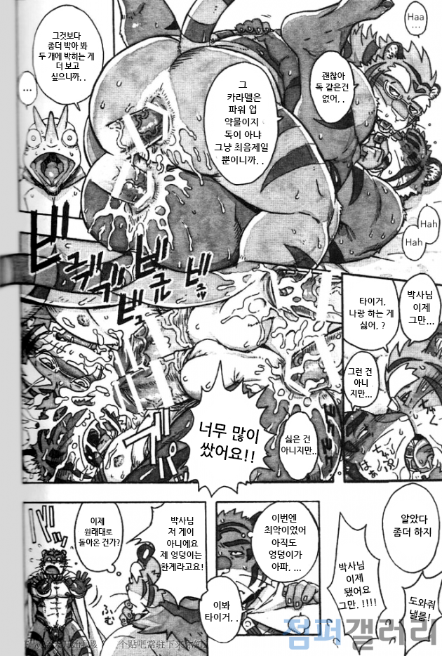 (C86) [Dragon Heart (gamma)] Choujuu Gasshin Build Tiger 11 | 초수합신 빌드 타이거 11 [Korean] - Page 23