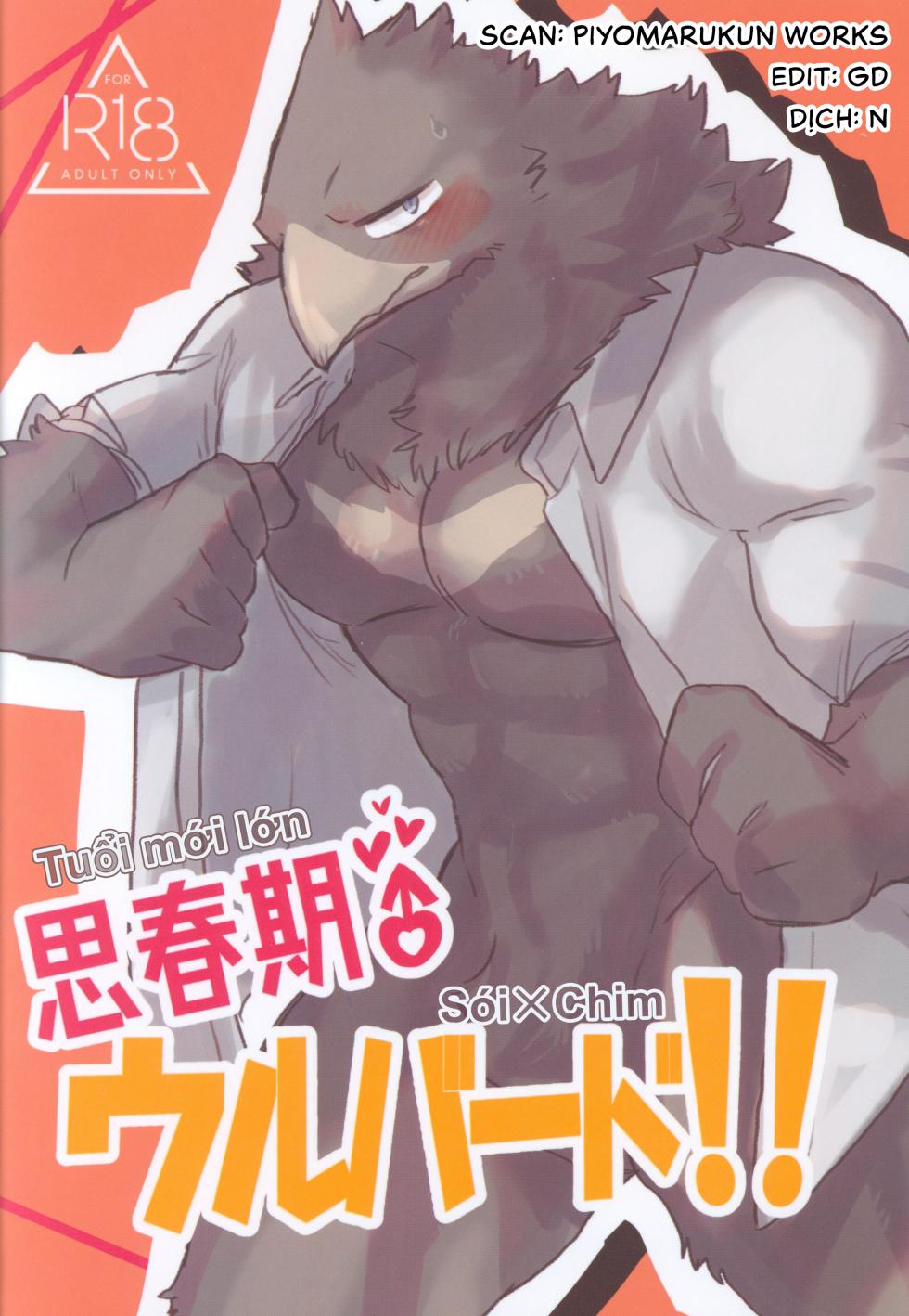 (Shinshun Kemoket 11) [Mafumofuya (Nokkun)] Tuổi Mới Lớn Sói x Chim [Viet] - Page 1