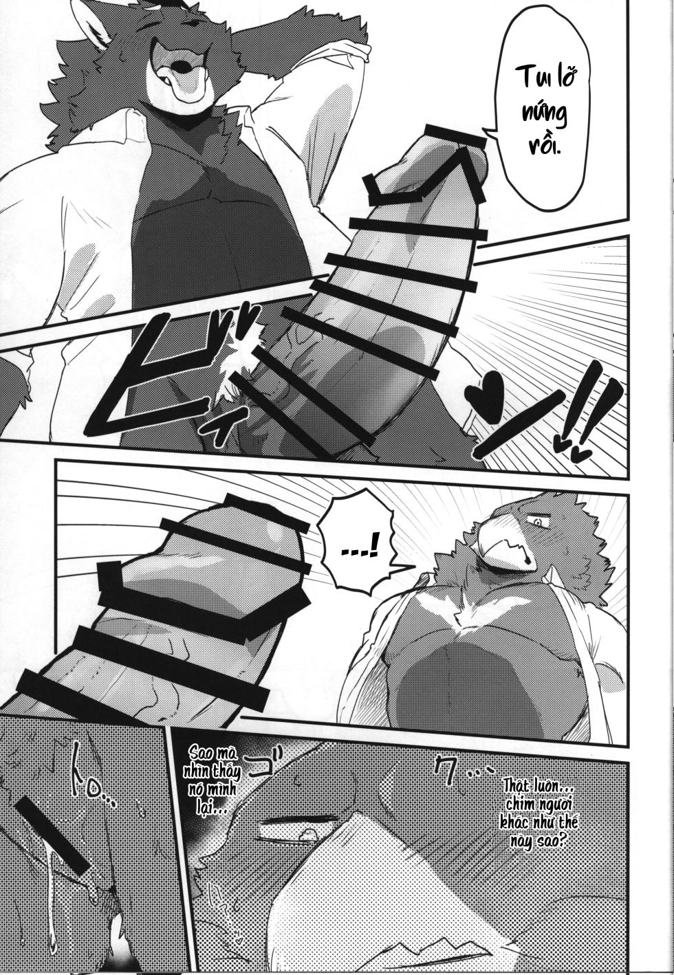 (Shinshun Kemoket 11) [Mafumofuya (Nokkun)] Tuổi Mới Lớn Sói x Chim [Viet] - Page 11