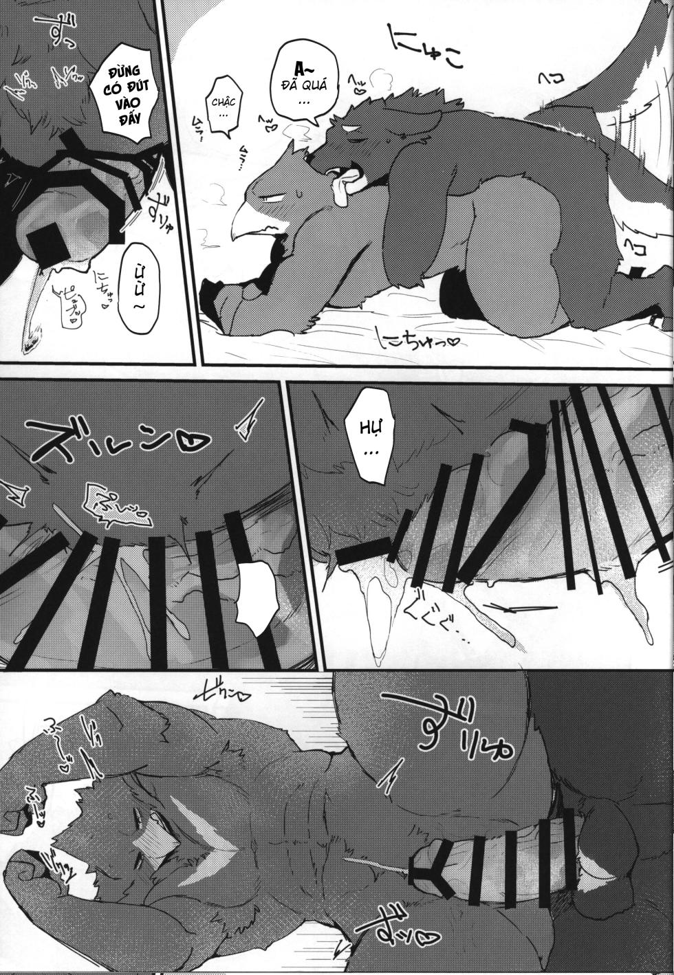 (Shinshun Kemoket 11) [Mafumofuya (Nokkun)] Tuổi Mới Lớn Sói x Chim [Viet] - Page 13