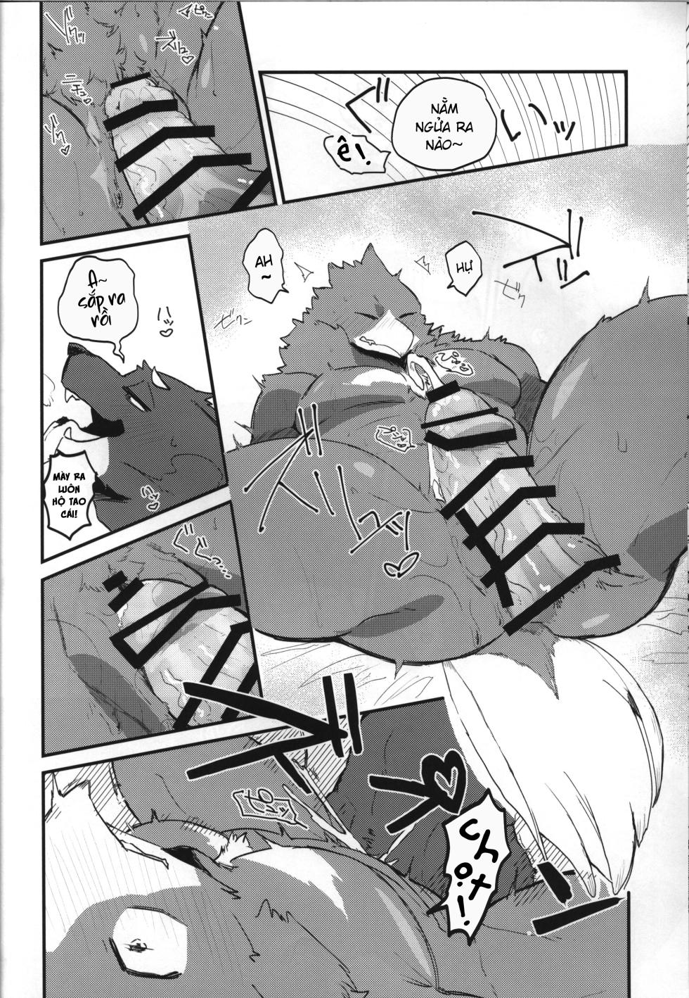 (Shinshun Kemoket 11) [Mafumofuya (Nokkun)] Tuổi Mới Lớn Sói x Chim [Viet] - Page 14