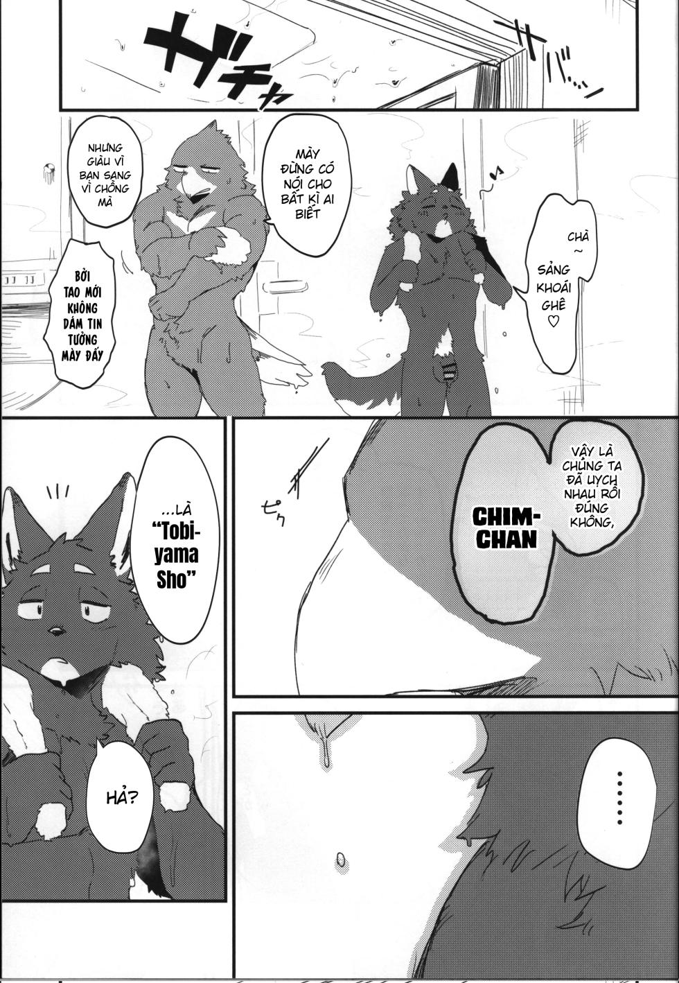 (Shinshun Kemoket 11) [Mafumofuya (Nokkun)] Tuổi Mới Lớn Sói x Chim [Viet] - Page 23