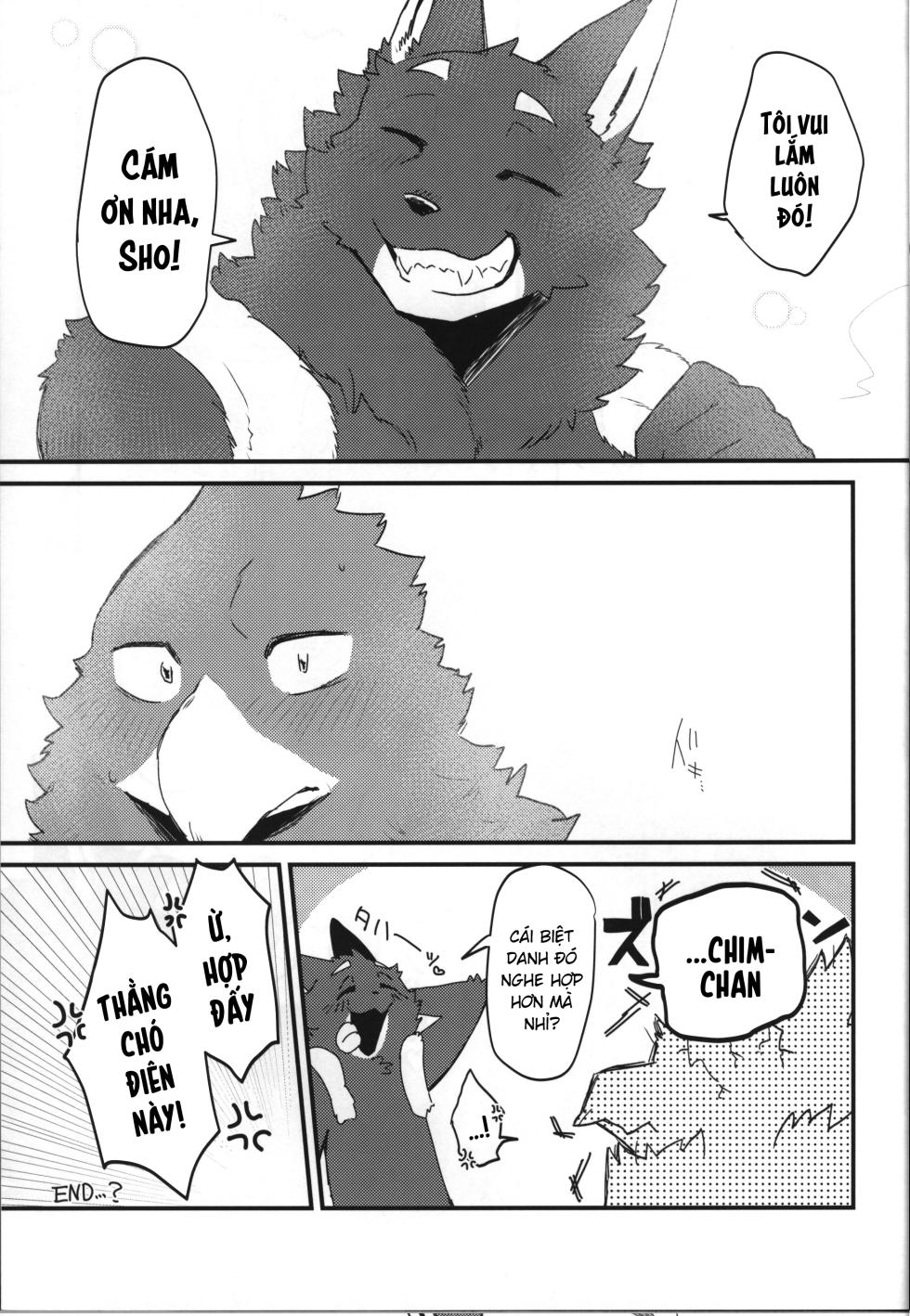 (Shinshun Kemoket 11) [Mafumofuya (Nokkun)] Tuổi Mới Lớn Sói x Chim [Viet] - Page 25