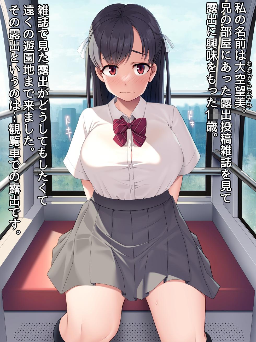 [U Donko] Ferris wheel exposure - Page 12