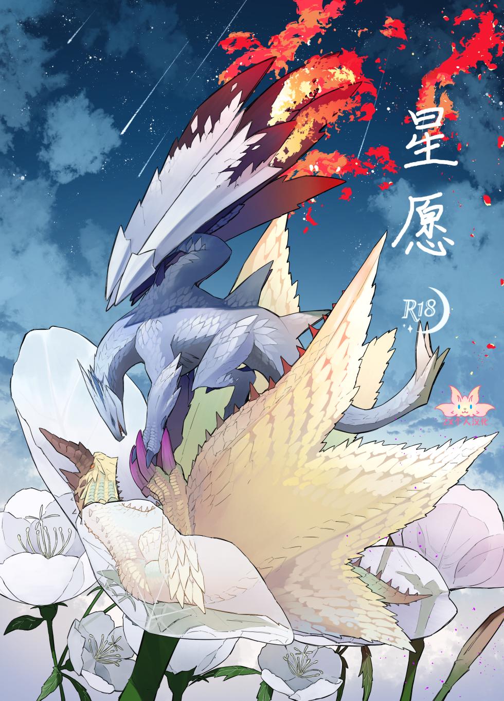[Furufuru Aigodantai (taneimo)] Hoshi no Negai | 星愿 (Monster Hunter) [Chinese] [ZX个人汉化] [Digital] - Page 1