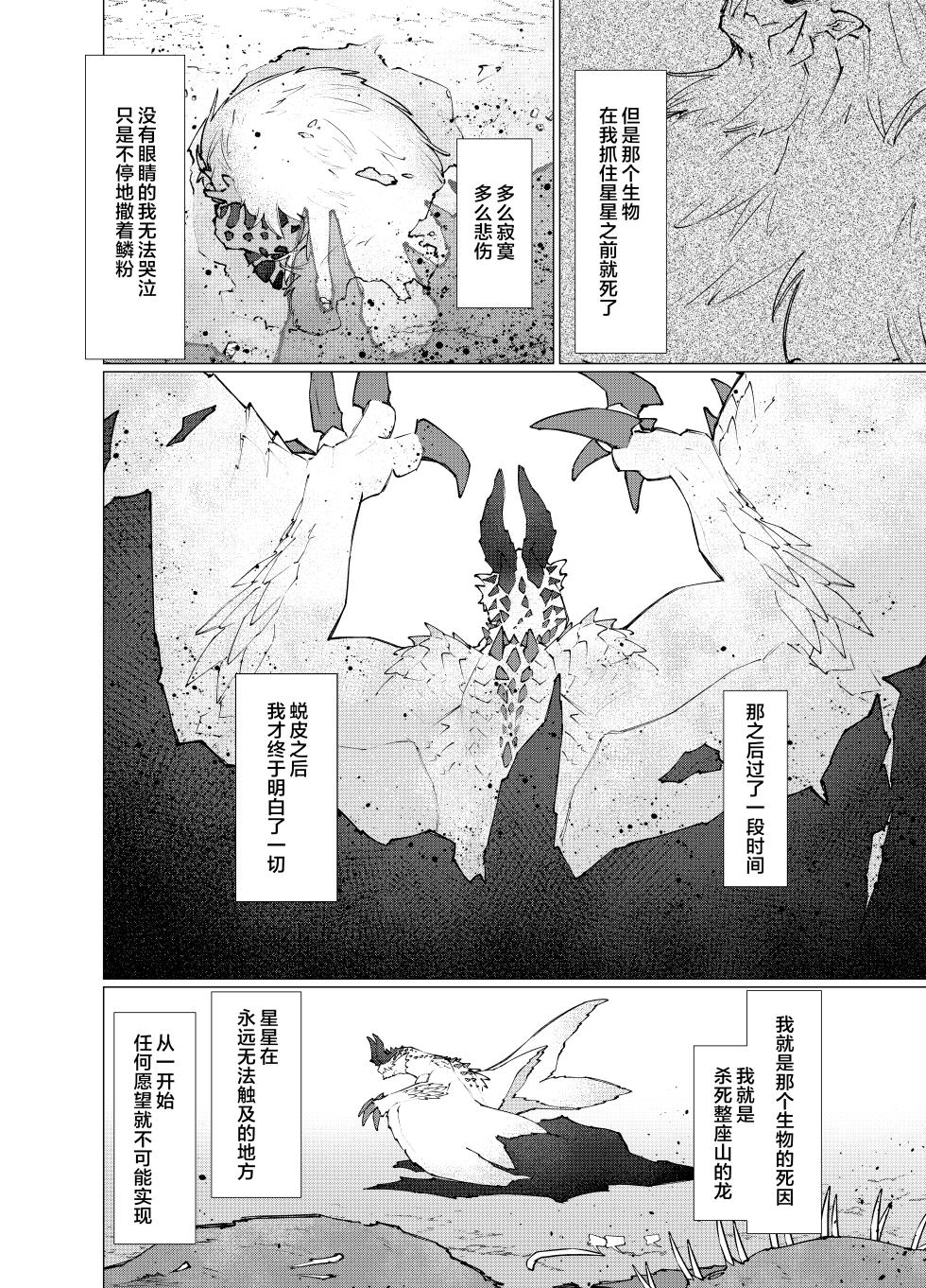[Furufuru Aigodantai (taneimo)] Hoshi no Negai | 星愿 (Monster Hunter) [Chinese] [ZX个人汉化] [Digital] - Page 3
