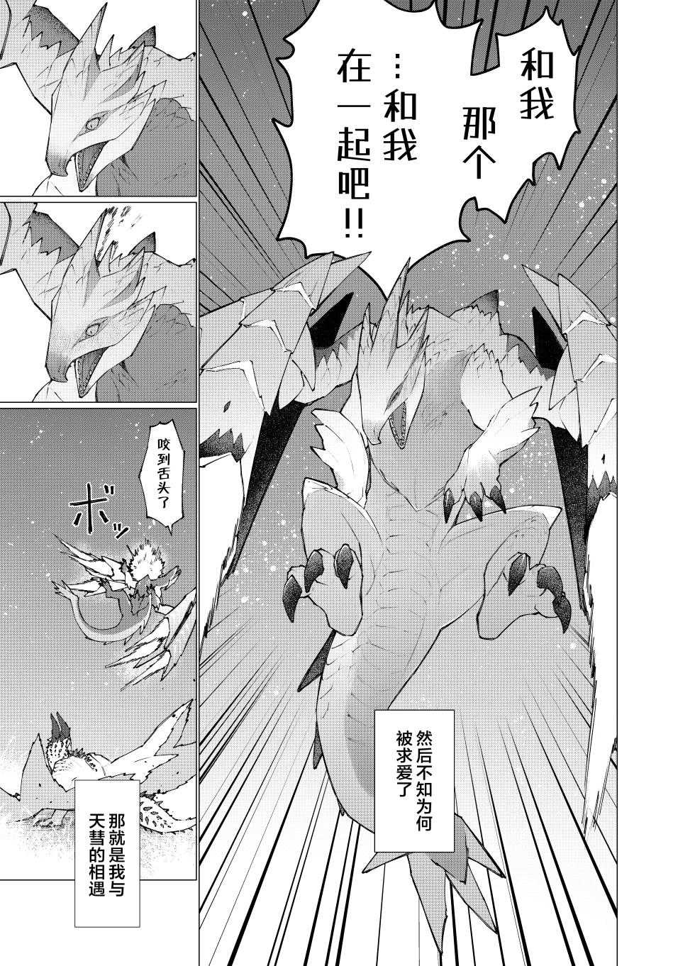 [Furufuru Aigodantai (taneimo)] Hoshi no Negai | 星愿 (Monster Hunter) [Chinese] [ZX个人汉化] [Digital] - Page 6