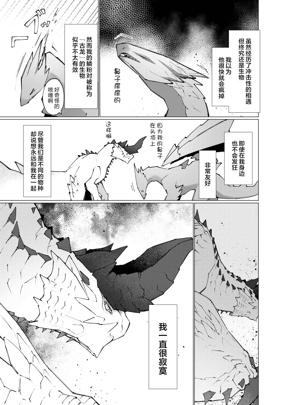 [Furufuru Aigodantai (taneimo)] Hoshi no Negai | 星愿 (Monster Hunter) [Chinese] [ZX个人汉化] [Digital] - Page 7