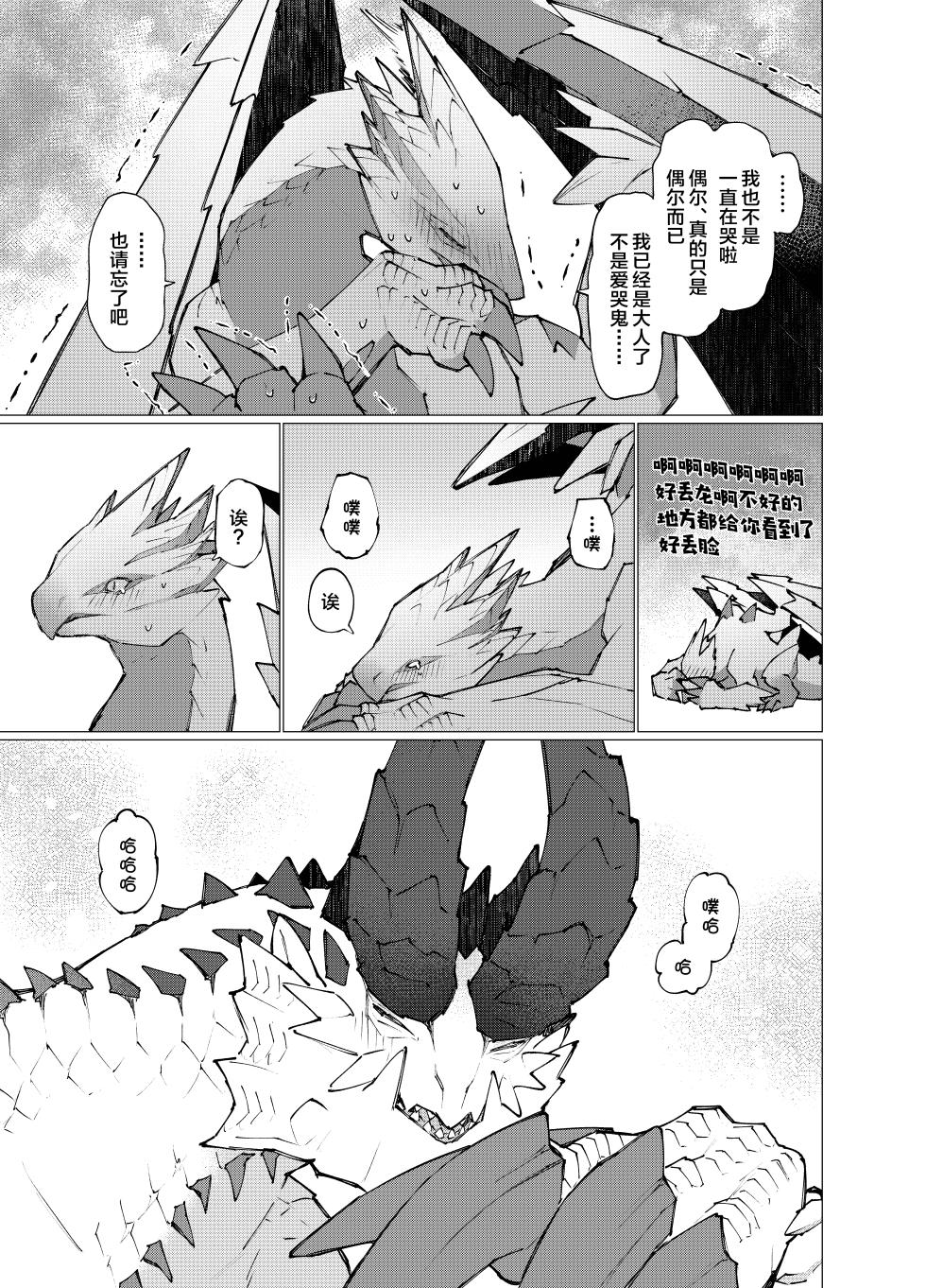 [Furufuru Aigodantai (taneimo)] Hoshi no Negai | 星愿 (Monster Hunter) [Chinese] [ZX个人汉化] [Digital] - Page 11