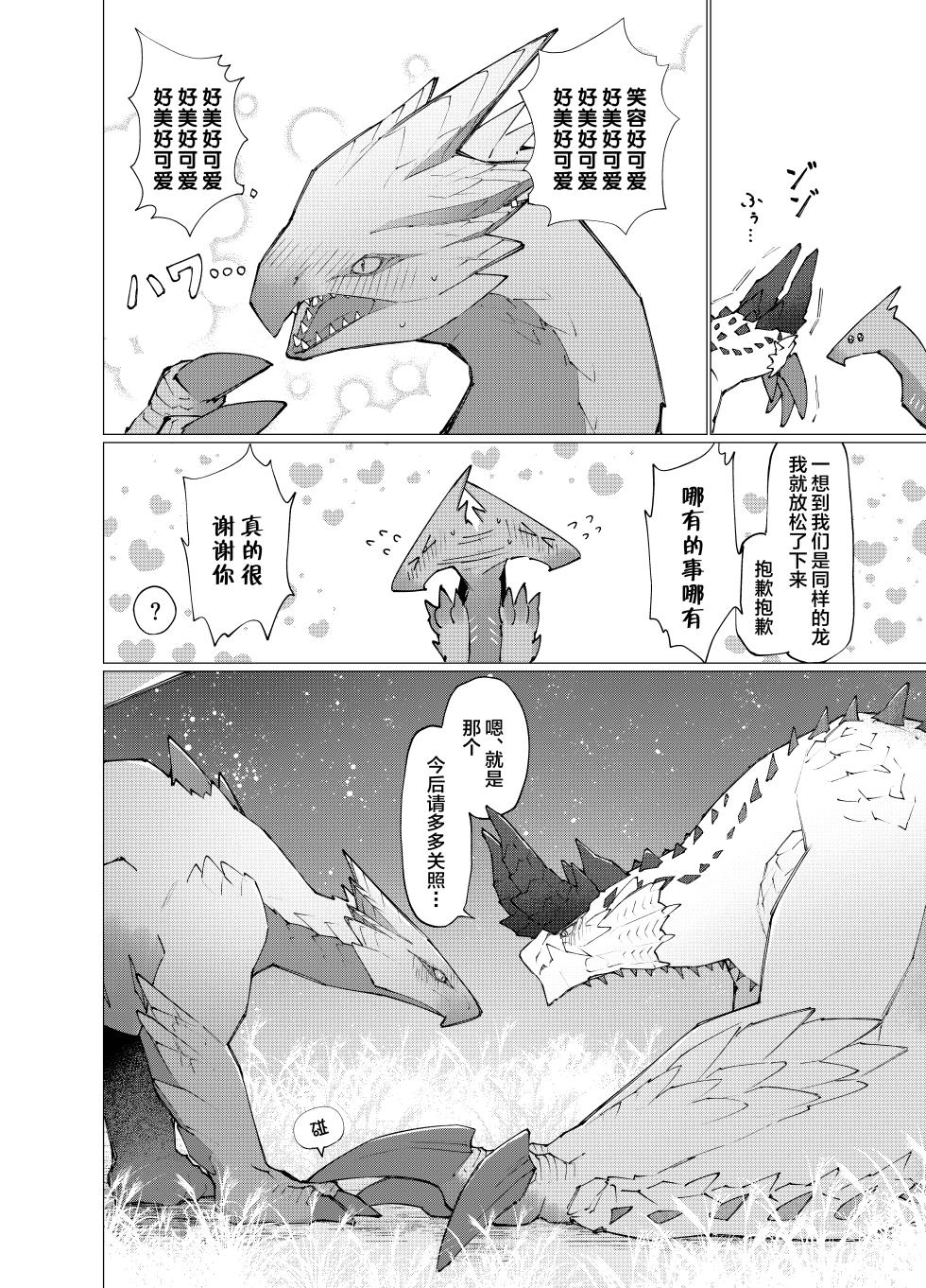 [Furufuru Aigodantai (taneimo)] Hoshi no Negai | 星愿 (Monster Hunter) [Chinese] [ZX个人汉化] [Digital] - Page 12